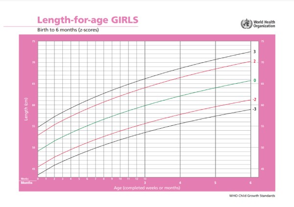 Grafik panjang tubuh menurut umur untuk anak perempuan usia 0-6 bulan. Sumber: WHO, 2020